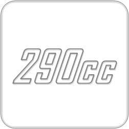 290