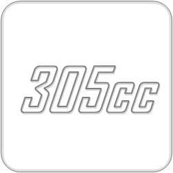 305