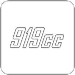 919