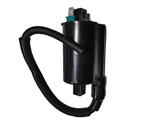 Bobina alta Kymco 125 250 300 500 People One, Xciting, Mxu, Maxxer, KXR, Xciting