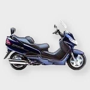 Burgman 250 1998-2002