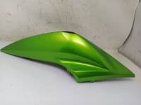 Colín Derecho Kawasaki Z 750 2008 - 2012 - Tienda
