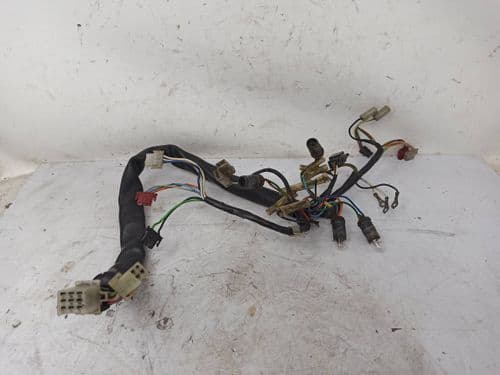 Instalación Eléctrica Araña Honda Scoopy 50 100 (1996-2003)