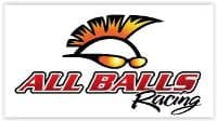 Kit de rodamientos cigüeñal All Balls 24-1081 - Tienda