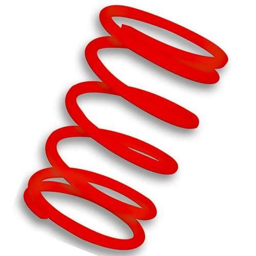 Muelle central embrague Rojo Leonardo 250