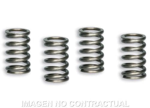 Muelles para embrague Original Pit Bike