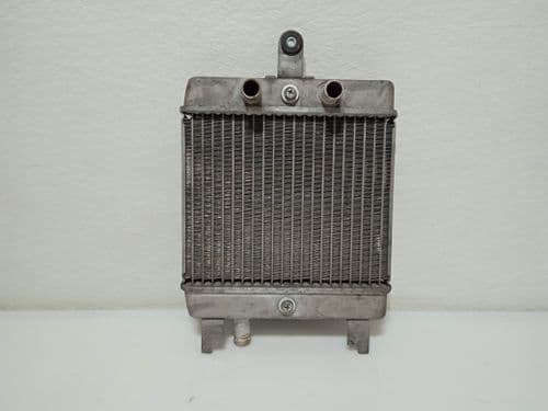 Radiador De Agua Suzuki Burgman 125 (2007-2015)