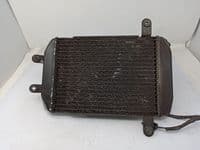 Radiador De Agua Suzuki Burgman 250 1998 - 2002