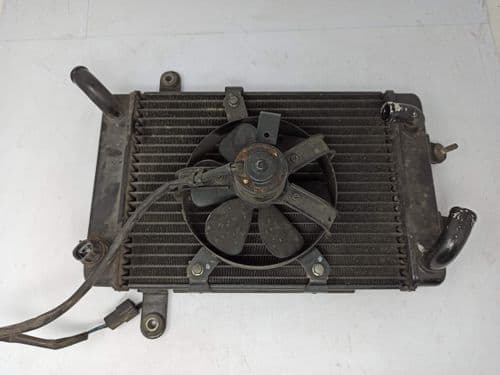 Radiador De Agua Suzuki Burgman 250 400 (1998-2002)