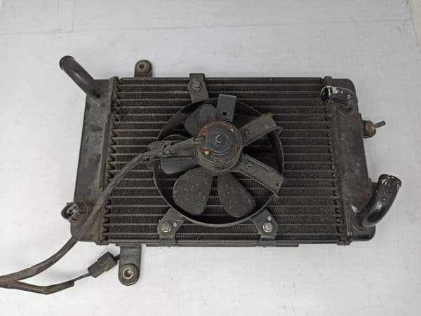 Radiador De Agua Suzuki Burgman 250 1998 - 2002