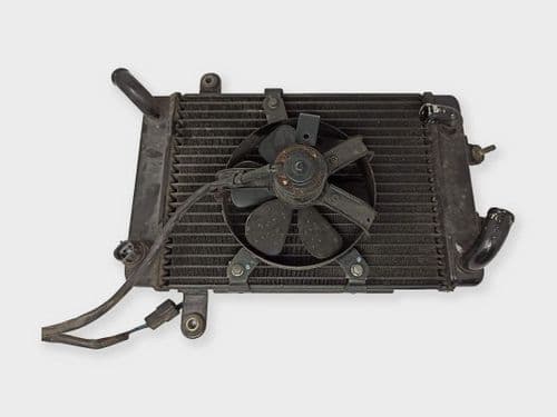 Radiador De Agua Suzuki Burgman 250 400 (1998-2002)