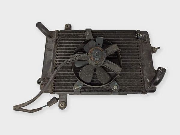 Radiador De Agua Suzuki Burgman 250 1998 - 2002