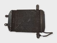 Radiador De Agua Suzuki Burgman 250 1998 - 2002