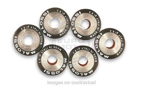 Rodillos variador Malossi 19x17 7,4gr.