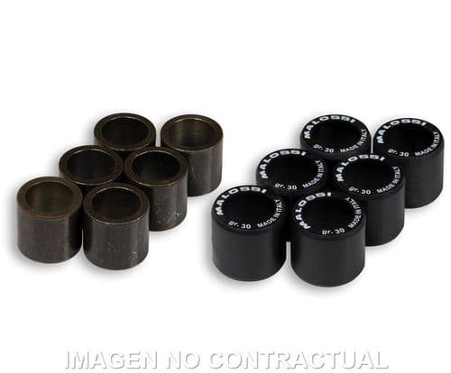 Rodillos variador Malossi 25 x 22,2 22 gr.