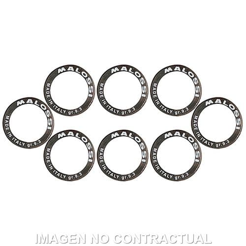 Rodillos variador Malossi D. 25 x 17 14G Gilera Nexus 500