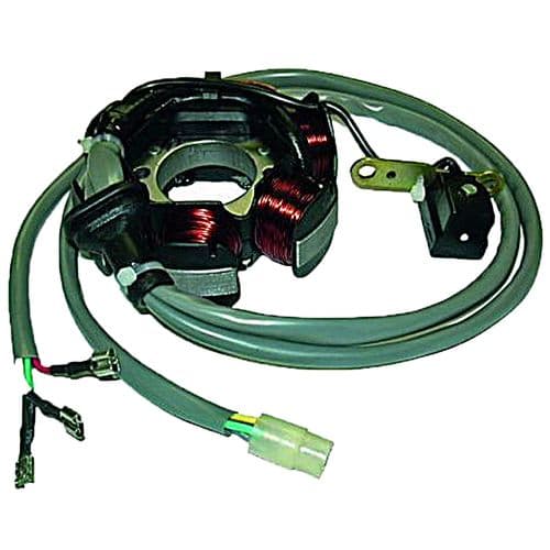 Stator de encendido Gilera Runner 50 2T, Piaggio Typhoon Liberty NRG Zip