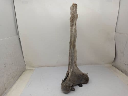 Tija Dirección Suzuki Lido 50