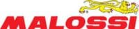 Variador Multivar BMW C Sport 600 - Recambio moto