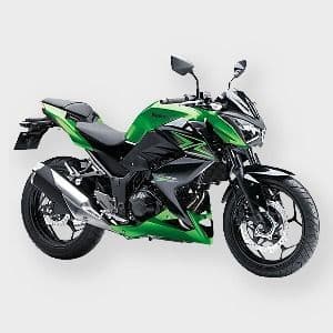 Z-300 2015-2016