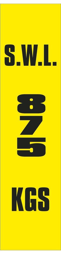 2q - SWL 875 KGS V label