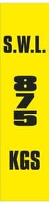 2q - SWL 875 KGS (V) label
