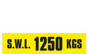 3b - SWL 1250 KGS (H) label