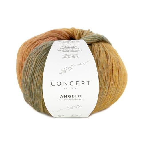 Katia Concept Angelo DK - 100g - All Shades