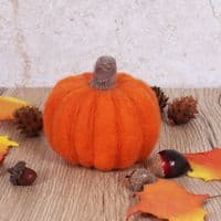 Needle Felting Kit Pumpkin
