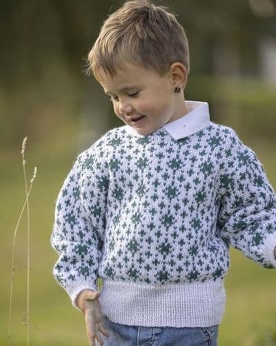 Viking Yarn Boys Sweater Knitting Pattern in Idun (4-9a) PDF DOWNLOAD