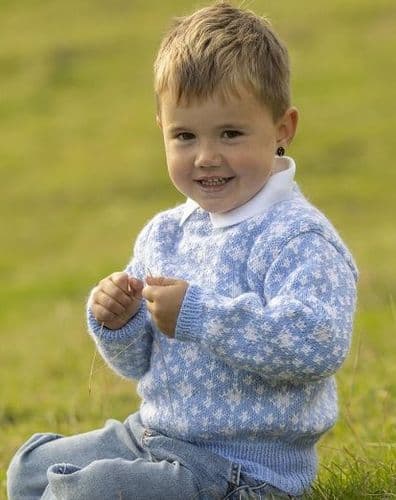 Viking Yarn Boys Sweater Knitting Pattern in Idun (4-9b) PDF DOWNLOAD