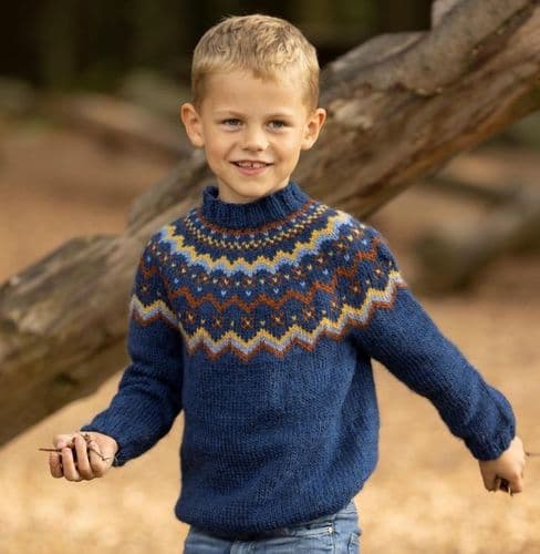 Viking Yarn Boys Sweater Knitting Pattern in Viking Wool (2332-1b) PDF DOWNLOAD