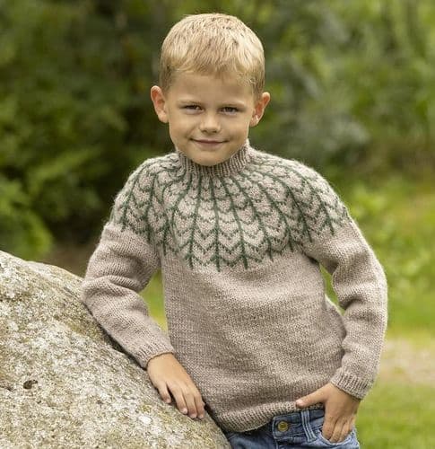 Viking Yarn Boys Sweater Knitting Pattern in Viking Wool (2332-6) PDF DOWNLOAD