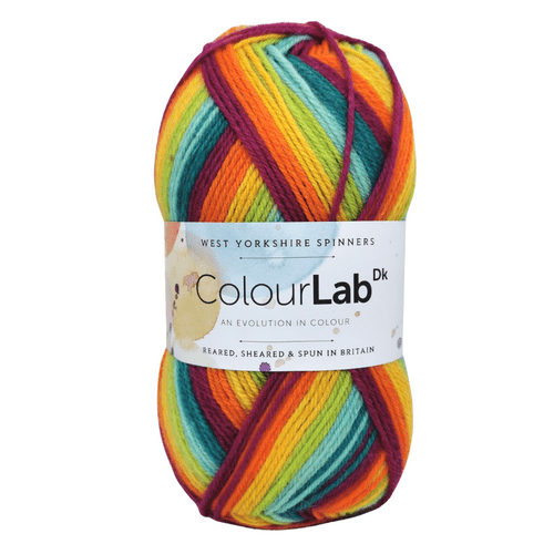 WYS ColourLab DK - 100g - All Shades