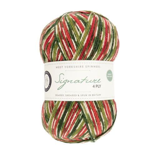 WYS Signature 4ply Christmas - 100g - All Shades