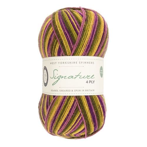WYS Signature 4ply Cocktails - 100g - All Shades