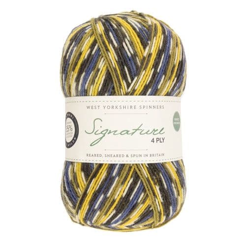 WYS Signature 4ply Country Birds - 100g - All Shades