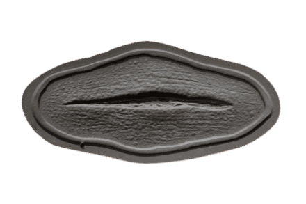 Cut Throat #1 Flat Mould