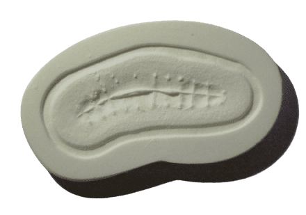 Ripped Suture Flat Mould