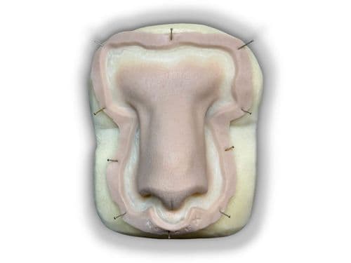 Rosa FX prosthetic Avatar Nose
