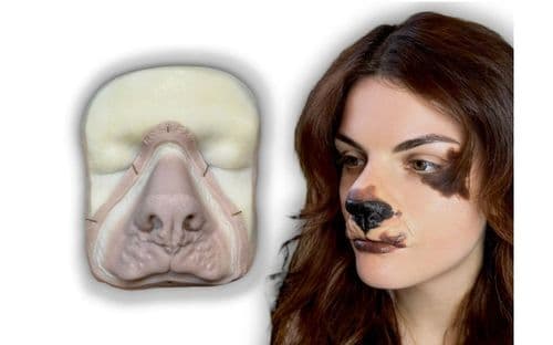 Rosa FX prosthetic Dog Nose