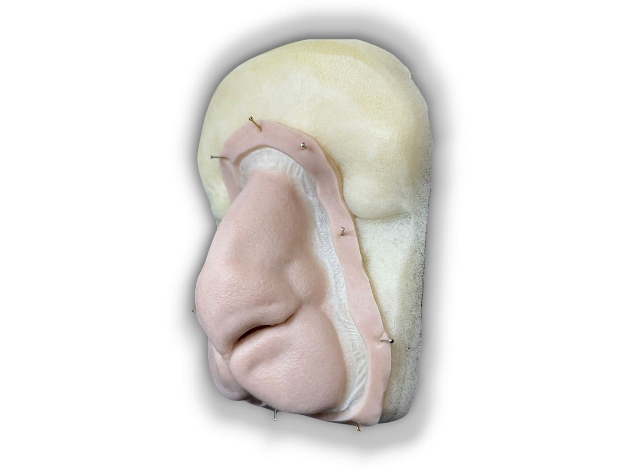 Rosa FX prosthetic Rabbit Nose