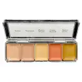Skin Illustrator Ahsen’s Tattoo Cover Palette