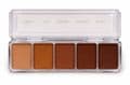 Skin Illustrator Mini Tan Tone 5 Palette