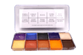 Skin Illustrator The Guardians Palette