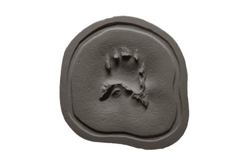 Vampire Bite Flat Mould