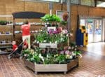 Plant display at the Eden project