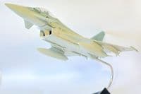 Eurofighter Typhoon Test / Demo Livery Lupa Collectors Model Scale 1:48