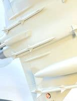 Eurofighter Typhoon Test / Demo Livery Lupa Collectors Model Scale 1:48