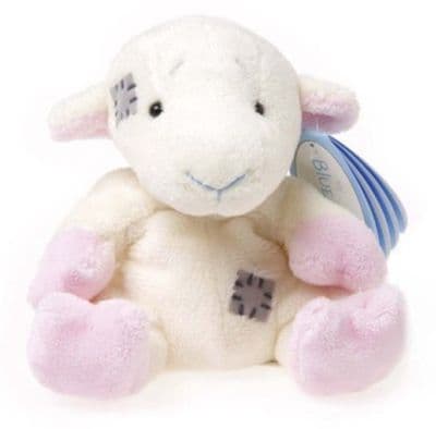 No 74 Oasis the Camel 4